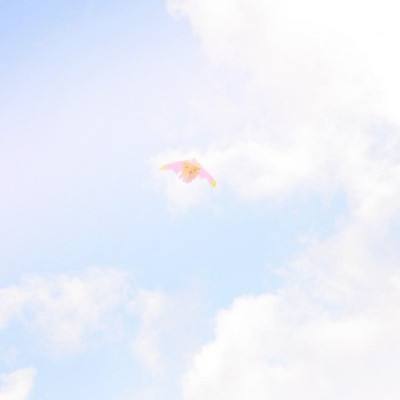 华佗请留步手游bt版下载